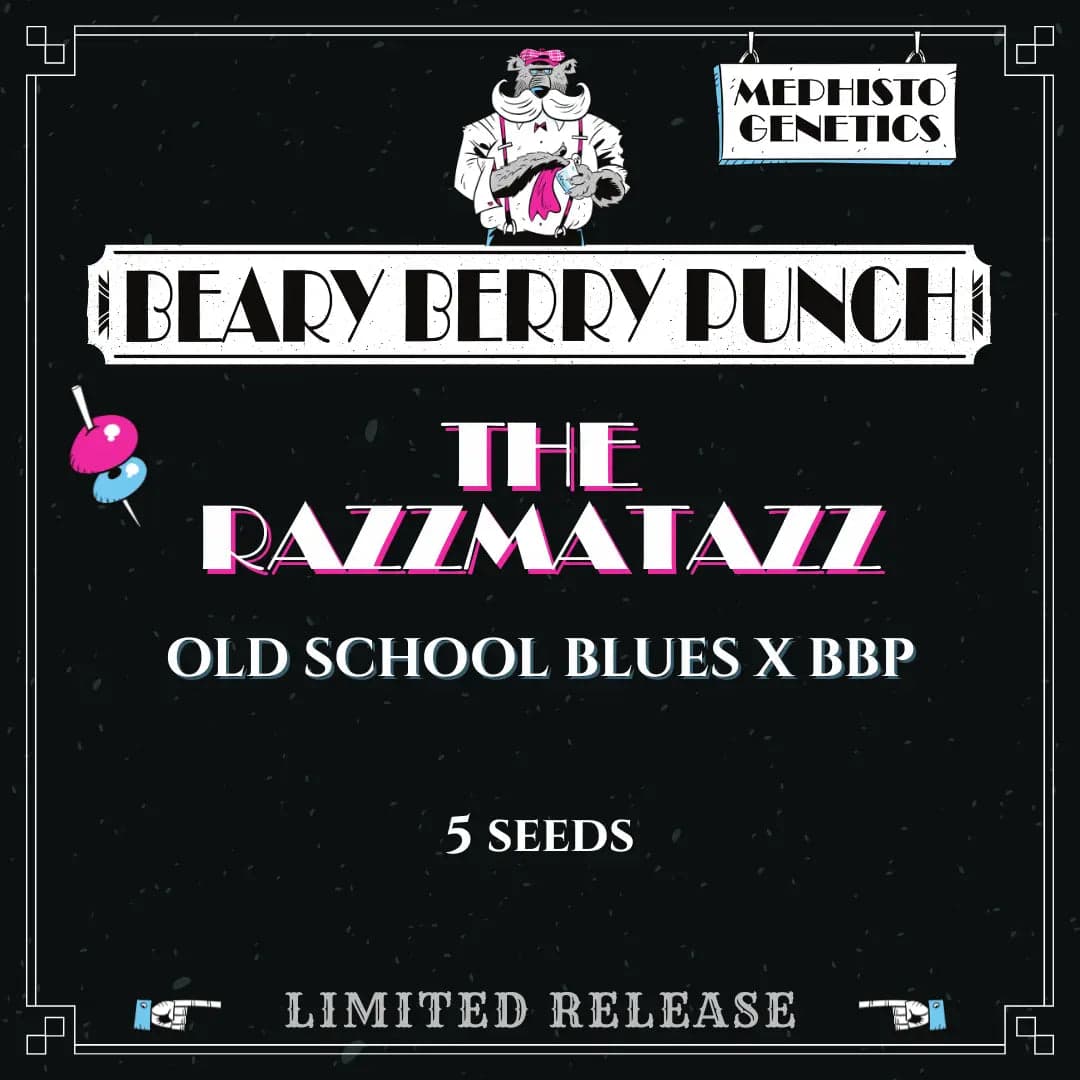The Razzmatazz Auto Seeds