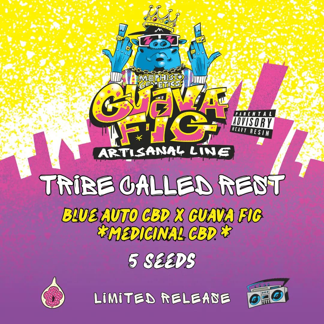 Tribe Called Rest Auto Seeds