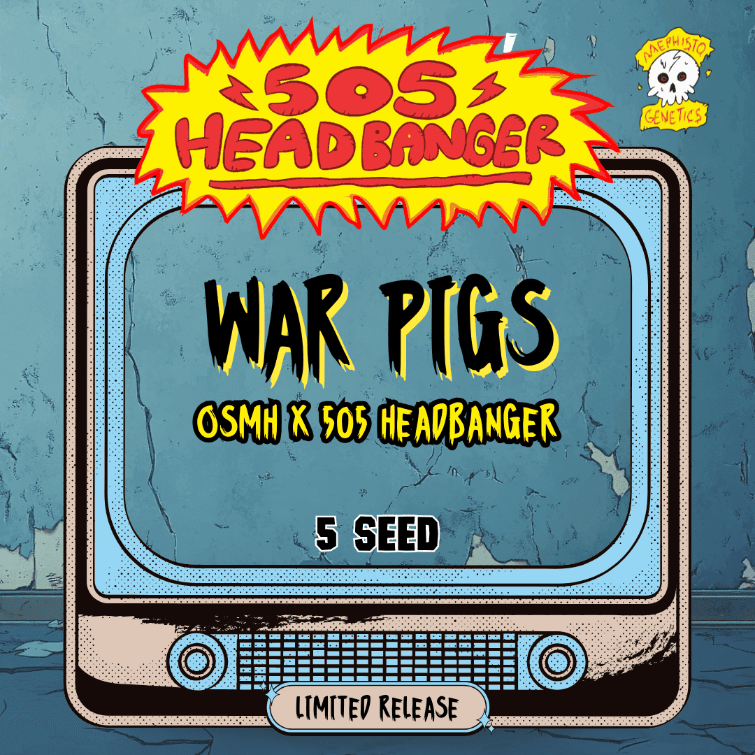War Pigs Auto Seeds