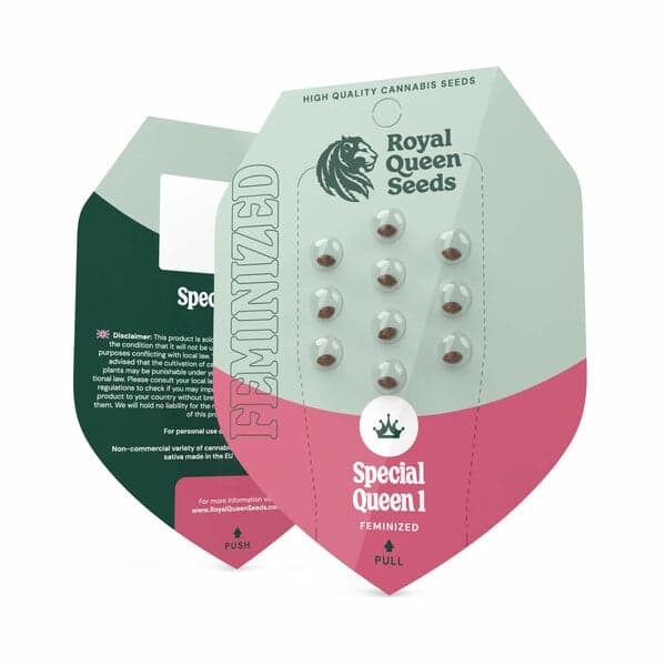 Special Queen 1 Seeds