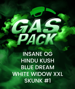 Gas Pack Bundle Feminized Seeds