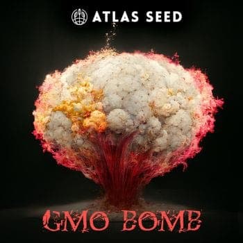 GMO Bomb Fast Feminized Seeds