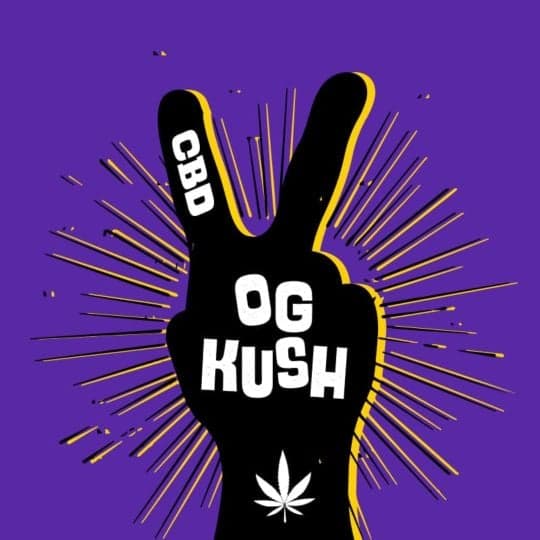 CBD OG Kush Feminized Seeds