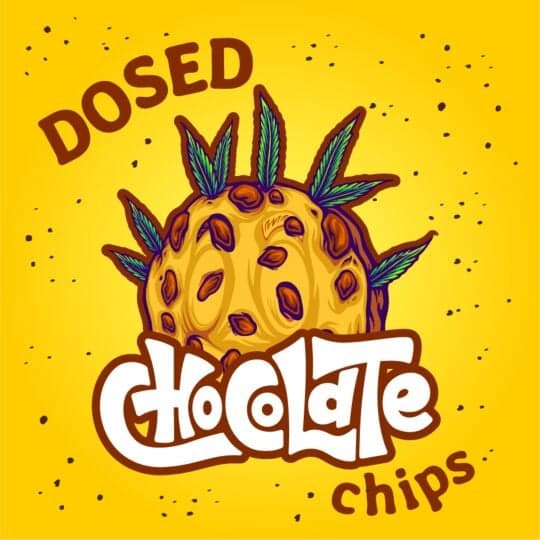 Dosed Chocolate Chips Feminized Seeds