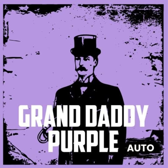 Granddaddy Purple Auto Seeds