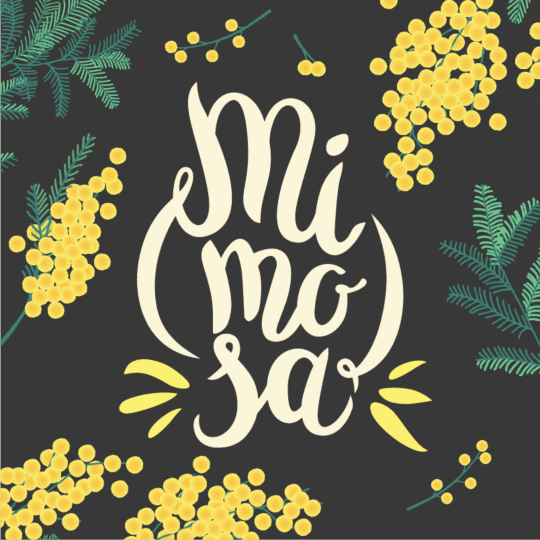 Feminized Mimosa Weed Seeds