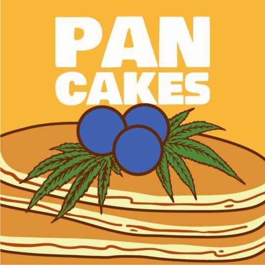 Pancakes Feminized Cannabis Seeds