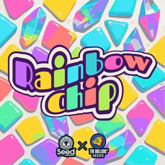 Rainbow Chip Feminized - The Bulldog Seeds & Seed Supreme Collab Seeds