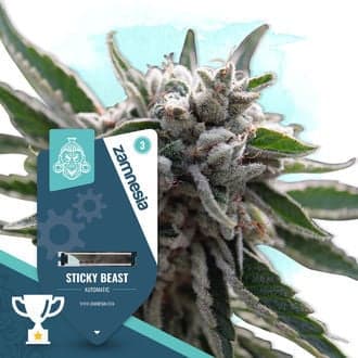 Sticky Beast Auto Seeds