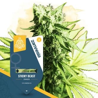 Sticky Beast Seeds